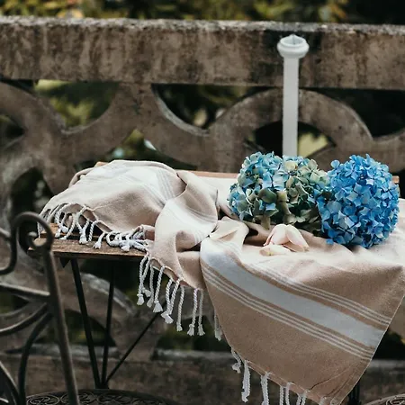 Library - Candela Lejlighed *