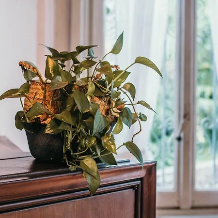 Library - Candela דירה