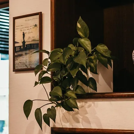 公寓 Library - Candela