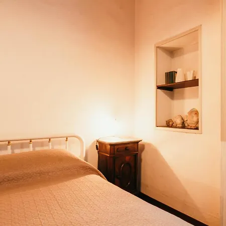 Library - Candela 斯特雷萨